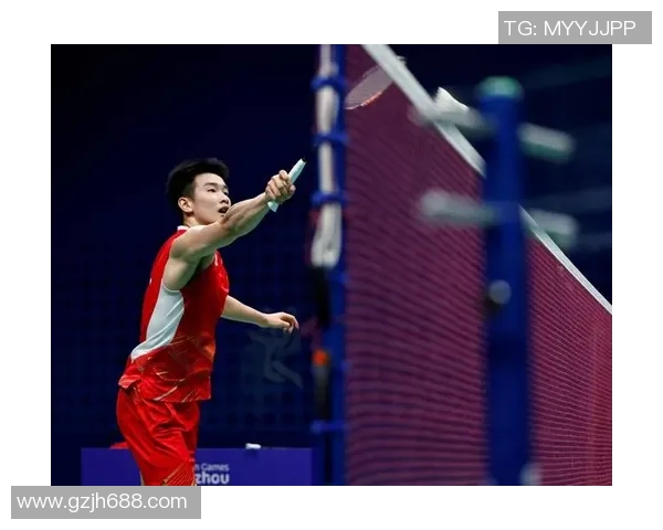 杭州羽毛球队比赛经验的创新与变革引发热议